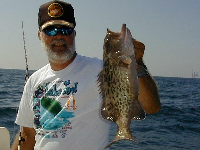 24_Donald_Grouper