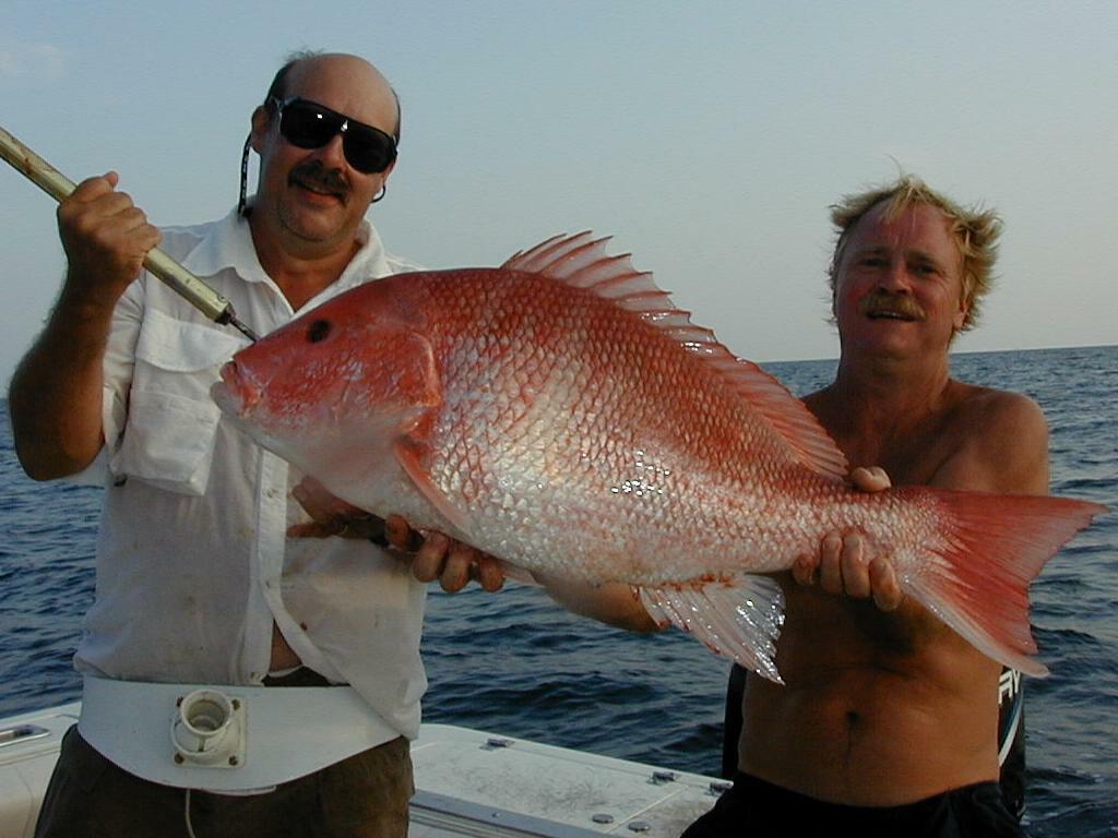 58_Robert_Mike_Sow_Snapper
