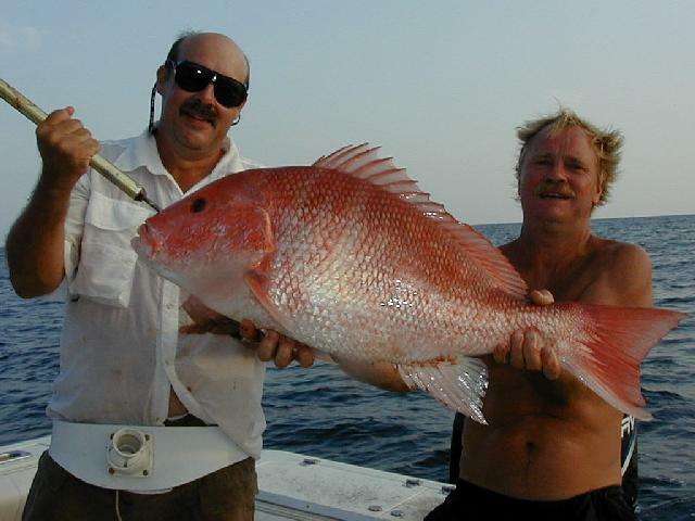 58_Robert_Mike_Sow_Snapper_640