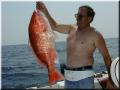 31_Larry_Sow_Snapper_640
