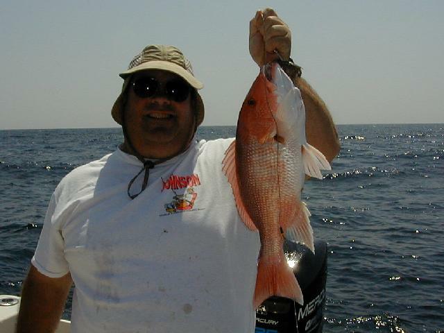 24_Perry_Snapper_640