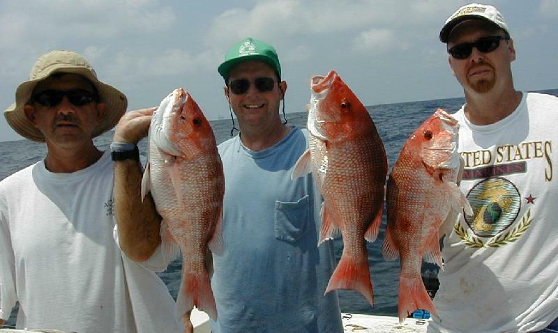 38_Mitch_Gus_Dale_Snappers