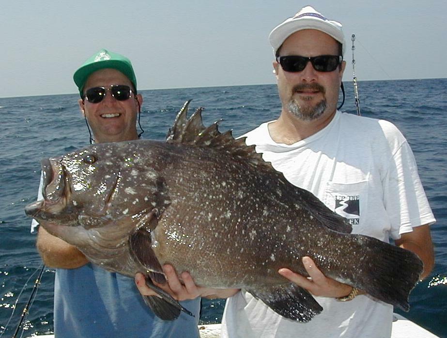46_Gus_Mike_Grouper