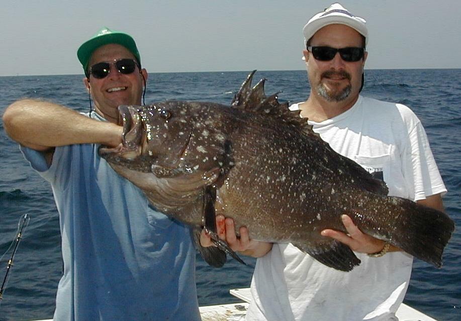 47_Gus_Mike_Grouper