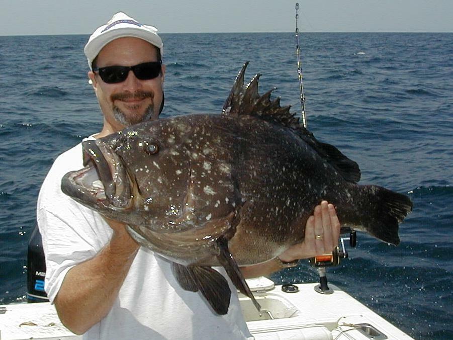 48_Mike_Grouper