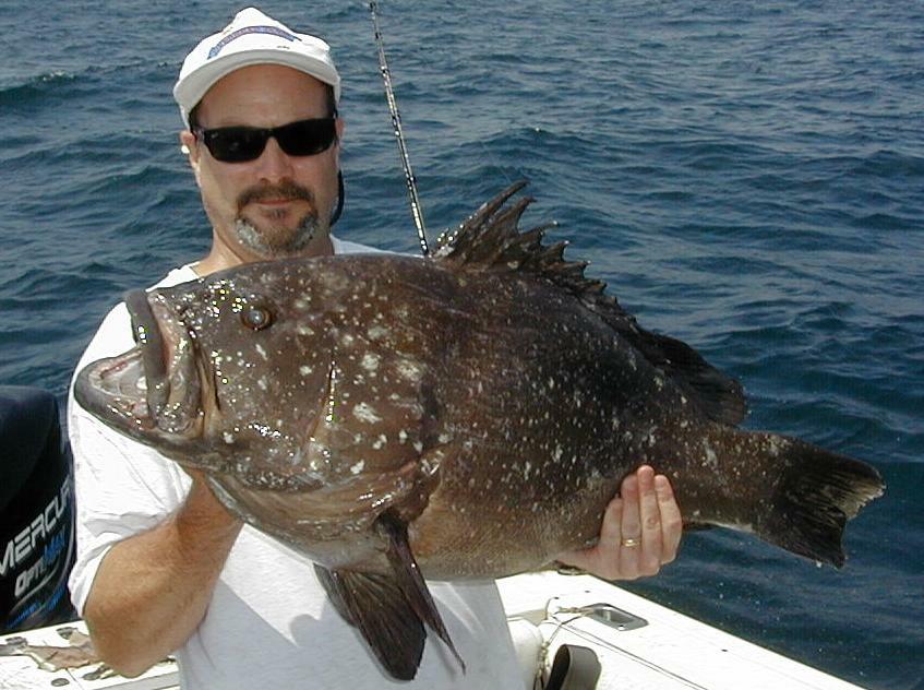 50_Mike_Grouper
