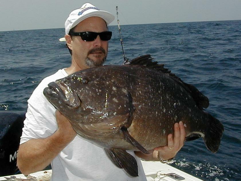 51_Mike_Grouper