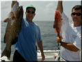 31_Gus_Grouper_Mitch_Snapper_1024