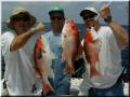 37_Mitch_Gus_Dale_Snappers_640