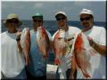 39_Mitch_Gus_Dale_Mike_Snappers_1024